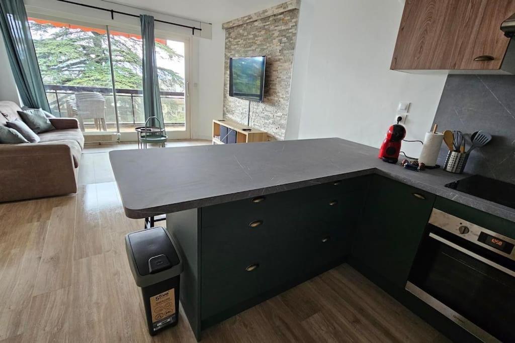 Apartamento Le Duc Thonon-les-Bains Exterior foto